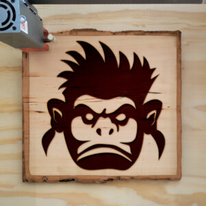 48604_wood-laser-1.jpg