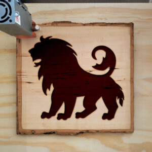 48614_wood-laser-1.jpg