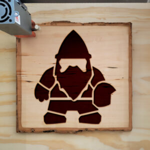 48616_wood-laser-1.jpg
