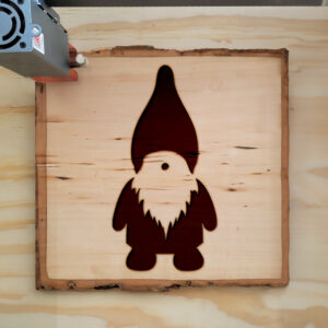 48620_wood-laser-1.jpg