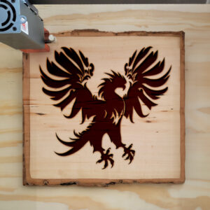 48638_wood-laser-1.jpg