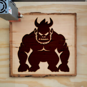 48662_wood-laser-1.jpg