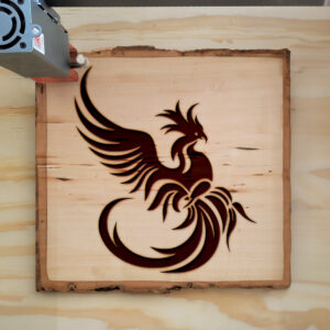 48670_wood-laser-1.jpg