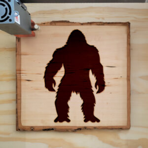 48682_wood-laser-1.jpg