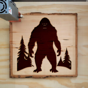 48686_wood-laser-1.jpg
