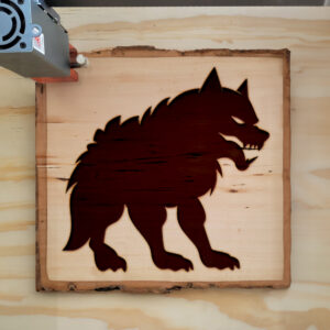48696_wood-laser-1.jpg