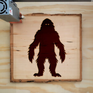 48700_wood-laser-1.jpg