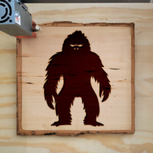 48702_wood-laser-1.jpg