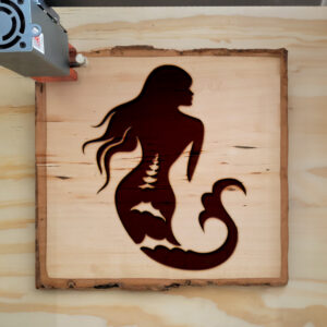 48752_wood-laser-1.jpg