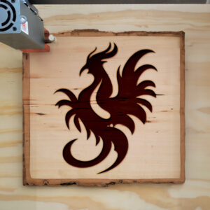 48756_wood-laser-1.jpg