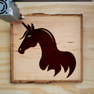 48764_wood-laser-1.jpg