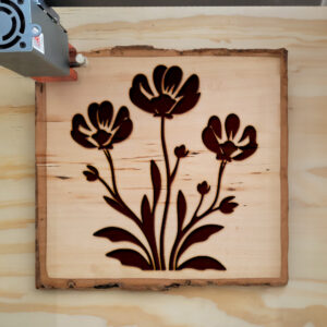 48892_wood-laser-1.jpg