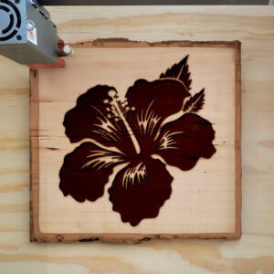 48960_wood-laser-1.jpg