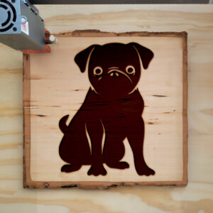 48972_wood-laser-1.jpg