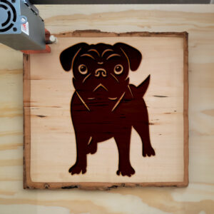 48974_wood-laser-1.jpg