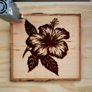 49049_wood-laser-1.jpg