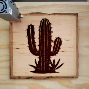 49051_wood-laser-1.jpg