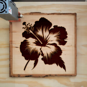 49106_wood-laser-1.jpg