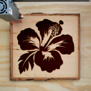 49110_wood-laser-1.jpg