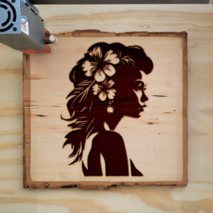 49124_wood-laser-1.jpg