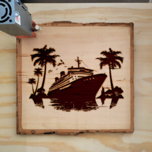 49134_wood-laser-1.jpg