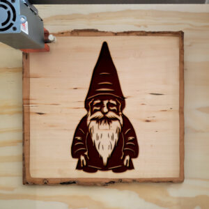 49160_wood-laser-1.jpg