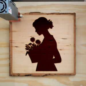 49214_wood-laser-1.jpg