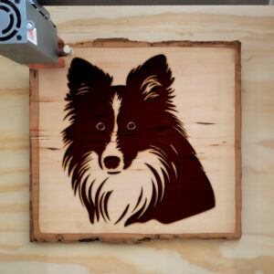 49238_wood-laser-1.jpg