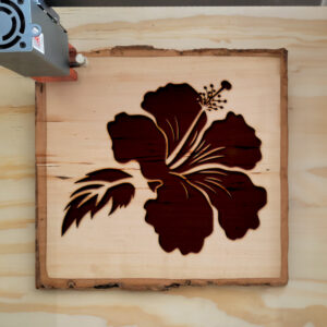 49264_wood-laser-1.jpg