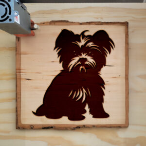 49334_wood-laser-1.jpg