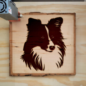 49360_wood-laser-1.jpg