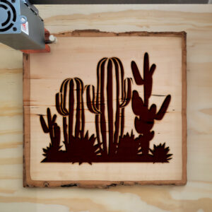 49384_wood-laser-1.jpg