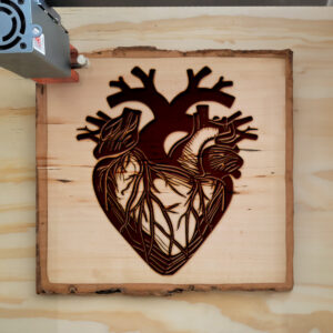 49446_wood-laser-1.jpg