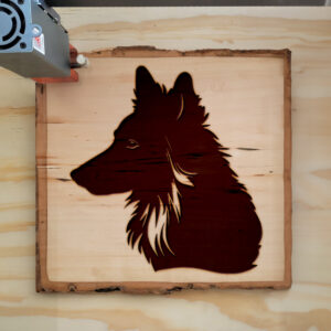 49512_wood-laser-1.jpg