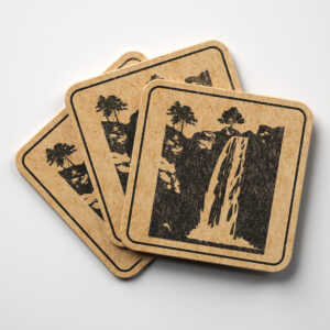 49538_coaster-1.jpg