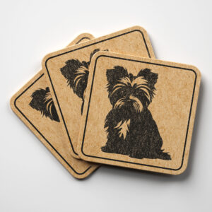 49628_coaster-1.jpg