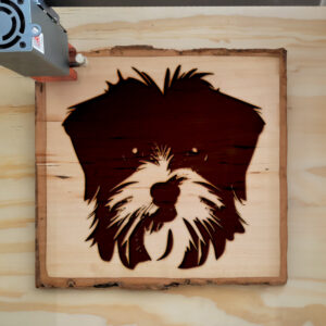 49632_wood-laser-1.jpg