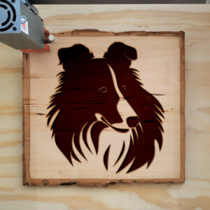 49678_wood-laser-1.jpg