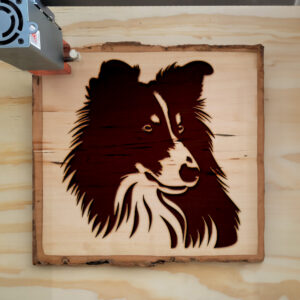 49680_wood-laser-1.jpg