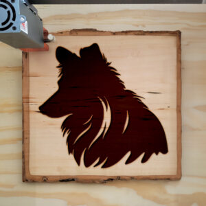 49692_wood-laser-1.jpg