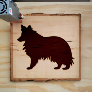 49696_wood-laser-1.jpg