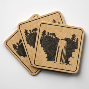 49730_coaster-1.jpg