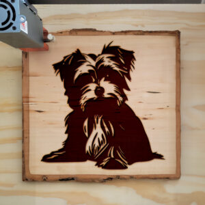 49806_wood-laser-1.jpg