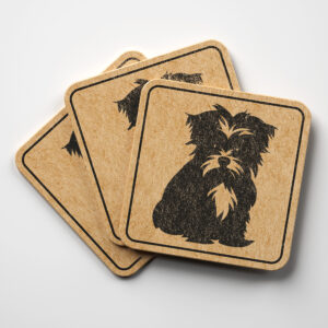 49808_coaster-1.jpg
