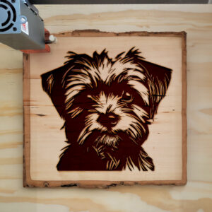 49810_wood-laser-1.jpg
