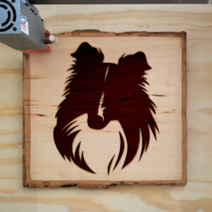 49832_wood-laser-1.jpg