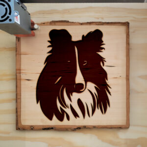 49834_wood-laser-1.jpg