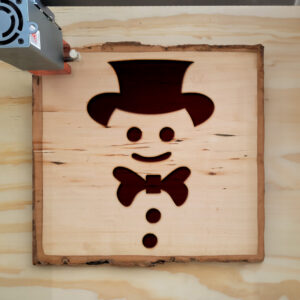 49848_wood-laser-1.jpg