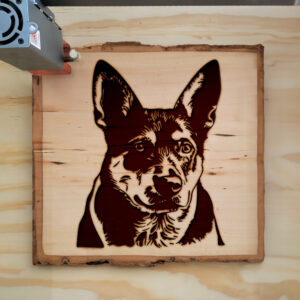 49876_wood-laser-1.jpg