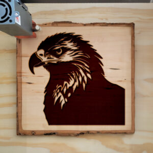 49892_wood-laser-1.jpg